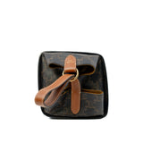 thumbnail Strap Box Top Handle Bag Triomphe Canvas In Brown GHW - L'UXE LINK